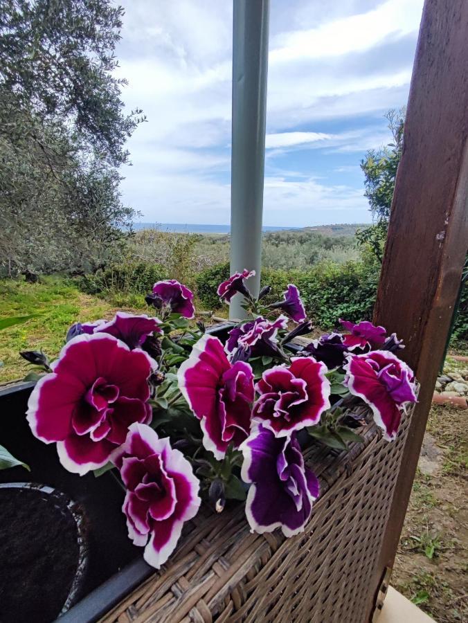 Anatolika Stamatis Paradise Dempla المظهر الخارجي الصورة
